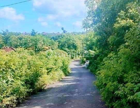 Dijual Tanah Dekat GWK Ungasan Badung Bali  1