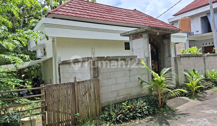For Sale 20 Are Land Bonus 2 Bedroom House in Pandawa Beach Area Kutuh South Kuta Badung Bali For Sale 20 Are Land Bonus 2 Bedroom House in Pandawa Beach Area Kutuh South Kuta Badung Bali