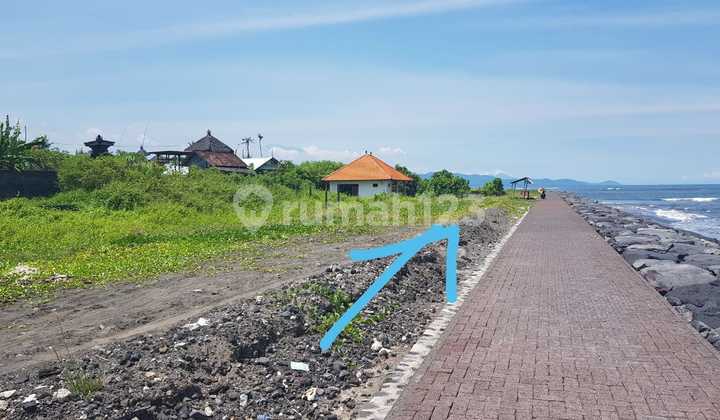 Dijual Tanah 1975 M² Idr 650 Juta Per Are Los Pantai Pabean Ketewel Gianyar Bali