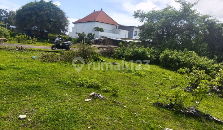 Dijual Tanah 1,32 Are Idr Global 650 Jt Nego Kawasan Poltekpar Bali Stp Nusa Dua Dijual Tanah 1,32 Are Idr Global 650 Jt Nego Kawasan Poltekpar Bali Stp Nusa Dua