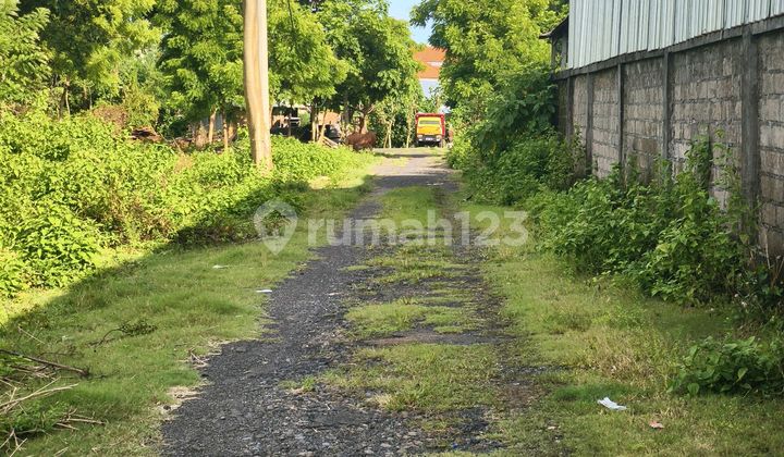 Dijual Tanah 70 Are Idr 700 Juta Per Are Ada Banguan Gudang Dekat Mcdonal Jimbaran Kuta Selatan Badunh Bali Dijual Tanah 70 Are Idr 700 Juta Per Are Ada Banguan Gudang Dekat Mcdonal Jimbaran Kuta Selatan Badunh Bali