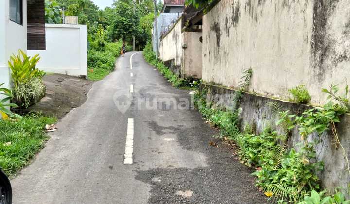 Land for Sale 10 Ares IDR 500 Million Per Are Near Nirmala Ungasan Land for Sale 10 Ares IDR 500 Million Per Are Near Nirmala Ungasan