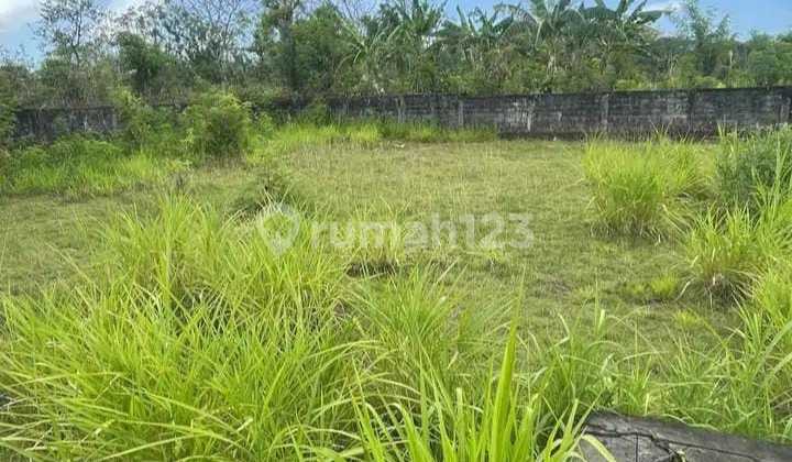 Tanah Plot Kecil 550M² Kawasan Pantai Balangan Jimbaran Kuta Selatan Badung Bali Tanah Plot Kecil 550M² Kawasan Pantai Balangan Jimbaran Kuta Selatan Badung Bali