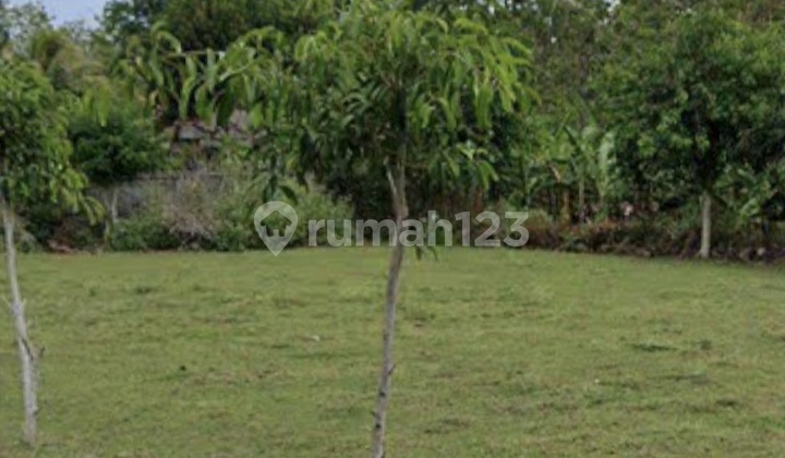 Dijual Tanah Plot Kecil Kawasan Dreamland Pecatu Idr 800 Juta /are Dijual Tanah Plot Kecil Kawasan Dreamland Pecatu Idr 800 Juta /are