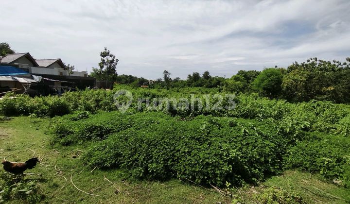 Sell 1.34 Hectares Global IDR 290 Million Per Are GWK Ungasan Area. Sell 1.34 Hectares Global IDR 290 Million Per Are GWK Ungasan Area.