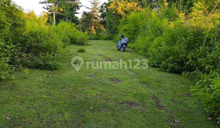 Tanah 66,75 Are Dekat Pantai Balangan Jimbaran Badung Bali Tanah 66,75 Are Dekat Pantai Balangan Jimbaran Badung Bali