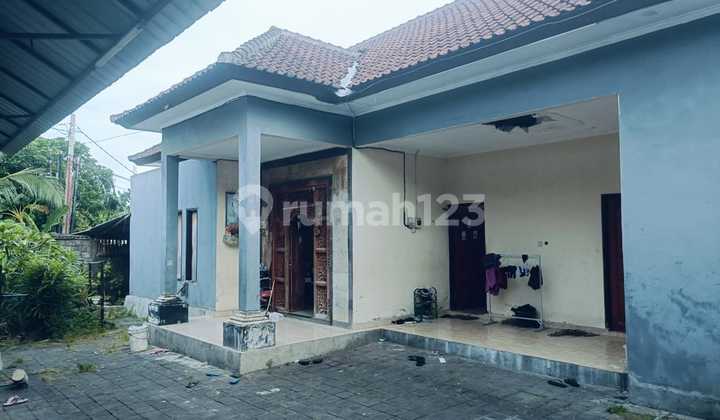 Dijual Tanah 230M² Bonus Rumah di Kampus Unud Jimbaran Kuta Selatan Badung Bali