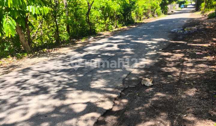 Tanah 20 Are Jln Utama Gunung Payung Pandawa Beach Kutuh Badung Bali 