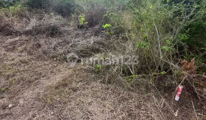 Dijual Tanah Ocean View Dekat Tol Nusa Dua Badung Bali 