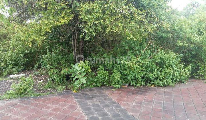 Dijual Tanah Dekat SMP 5 Kutuh Badung Bali  2