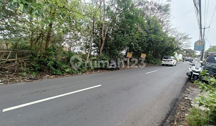 Dijual Tanah Jln Utama Toyaning || Ungasan Badung Bali Dijual Tanah Jln Utama Toyaning || Ungasan Badung Bali