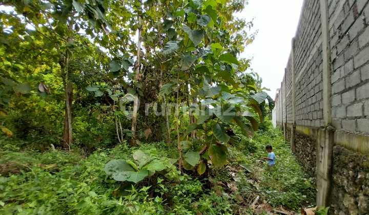 Tanah 9 Are Dekat Stp Nusa Dua Kuta Selatan Badung Bali