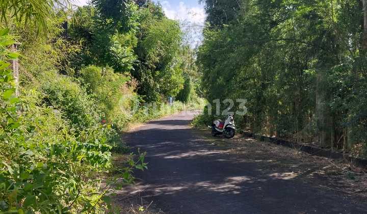 Tanah 4,70 Are Dekat Tol Nusa Dua Badung Bali 