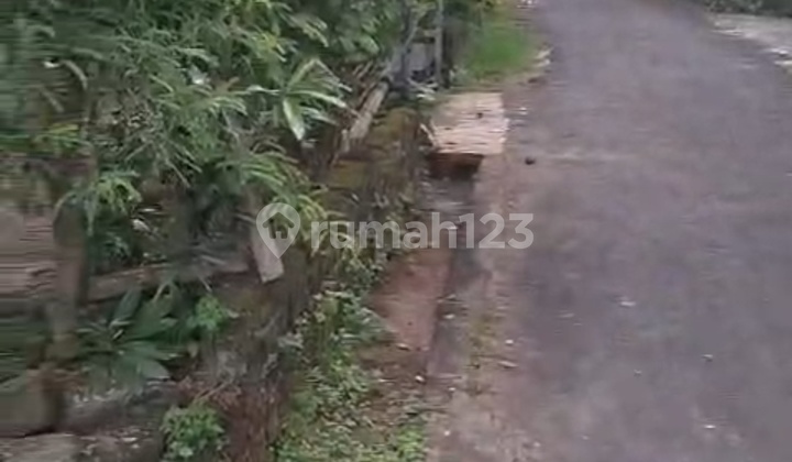 Dijual Tanah 5 Are Dekat Stp Nusa Dua Dijual Tanah 5 Are Dekat Stp Nusa Dua