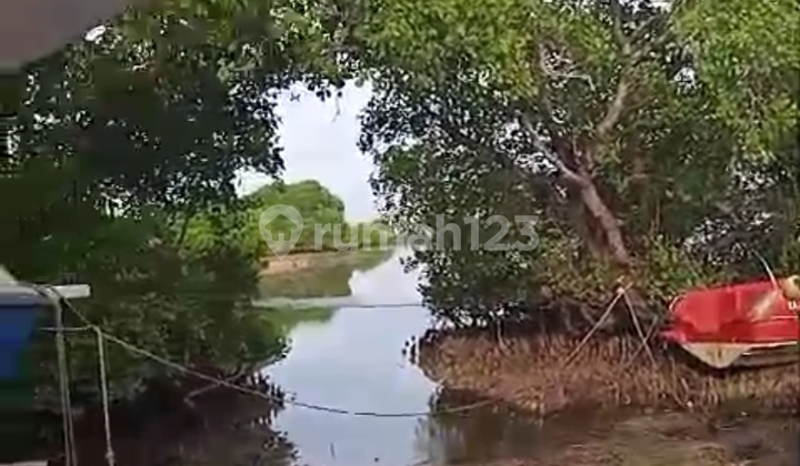 Tanah 1,18 Hektar Los Pantai Barat Tanjung Nusa Dua 