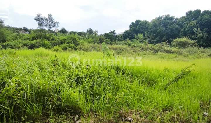 Land 97 Are IDR 335 Jt Per Are Pndawa Beach Area Kutuh South Kuta Badung Bali