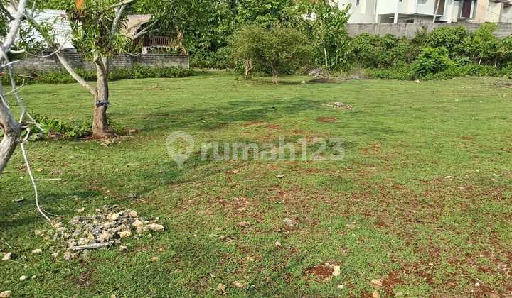 Land for Sale 250M² IDR 450 Million Per Are Near Asian International School Purigading Jimbaran Land for Sale 250M² IDR 450 Million Per Are Near Asian International School Purigading Jimbaran
