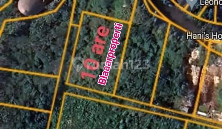 For Sale 10 Ares of Land Near Mulia Hotel Nusa Dua