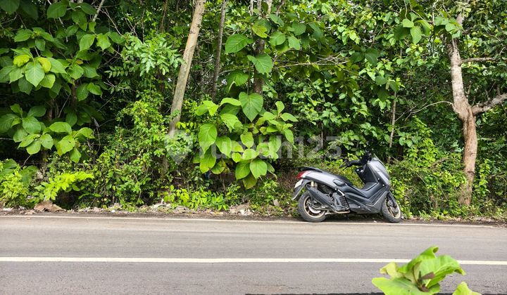 For Sale Land 2393m² IDR 600 Million Per Are Balangan Beach Area Jimbaran For Sale Land 2393m² IDR 600 Million Per Are Balangan Beach Area Jimbaran