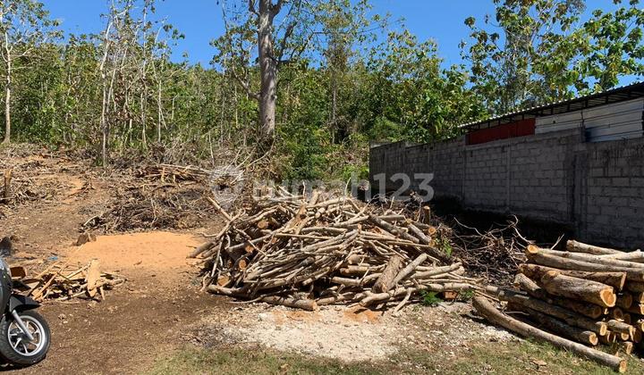 Dijual Tanah 12,60 Are Idr Nett 350 Juta Per Are Dipurigading Jimbaran Badung Bali 
