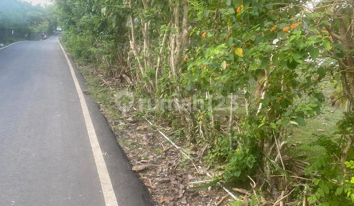 Disewakan Tanah 10 Are Kawasan Gwk Ungasan Badung Bali Disewakan Tanah 10 Are Kawasan Gwk Ungasan Badung Bali