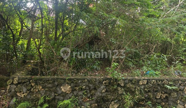 Dijual Tanah 1,60 Are Harga 850 Juta Per Are Dekat Nirmala Pecatu Kuta Selatan Badung Bali