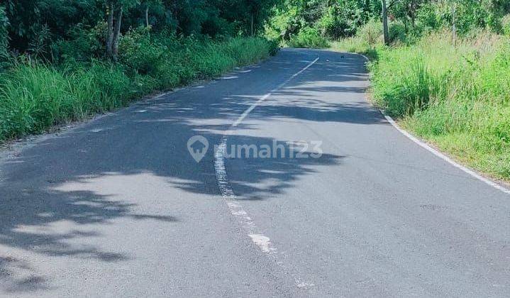 Tanah Murah Kawasan Kulat Pecatu  1