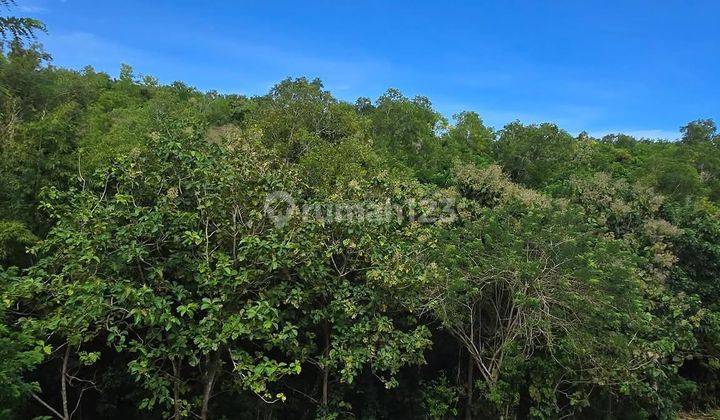 Disewakan Tanah Plot Kecil Dekat Pantai Padang Padang Pecatu  1