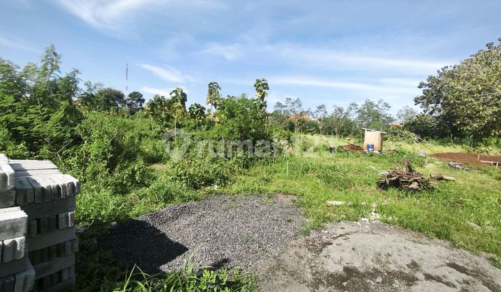 Disewakan Tanah9 Are & 10,25 Are Idr 12 Jt/Are/Th Kawasan Pandawa Beach Kutuh Kuta Selatan Badung Bali