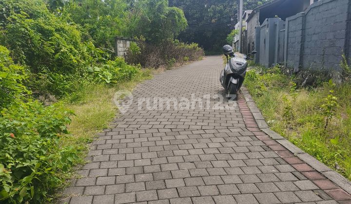 Land for Rent 14 Are Price 14 Million/Are/Year Toyaning Dua Ungasan Badung Bali Area