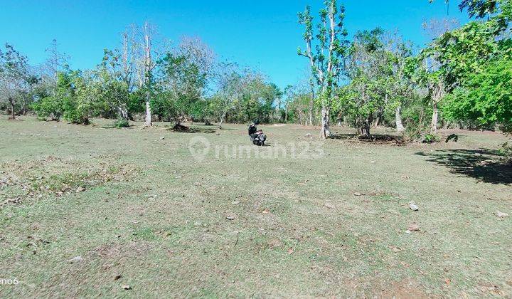 Land for Sale Near Balangan Beach Jimbaran Badung Bali 1