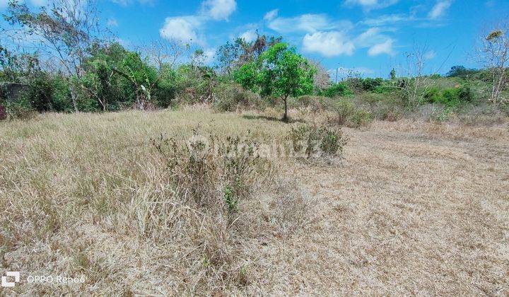 Tanah Dikampus Unud Jimbaran Badung Bali  2