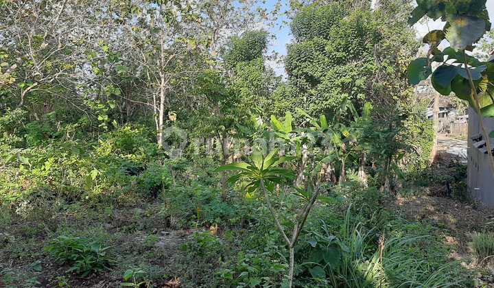 Land for Sale 10 Ares Price 650 Million /are Near Sidawakl Mall Jimbaran Badung Bali