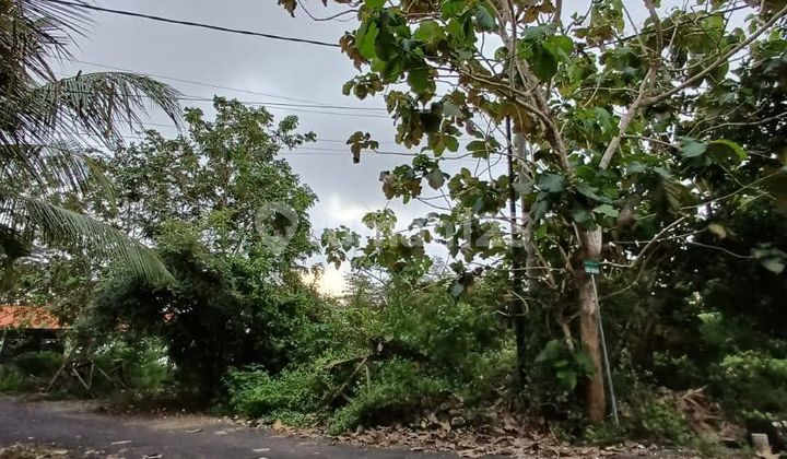Tanah Murah 1540m² Kawasan Pantai Pandawa Kutuh Badung Bali 
