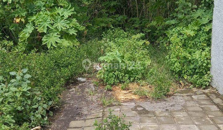 Tanah Di Taman Griya Jimbaran Badung Bali  1