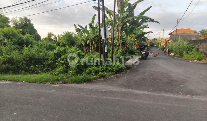 For Sale 1231m² Land IDR 550 Million Per Are Near Balangan Beach Jimbaran