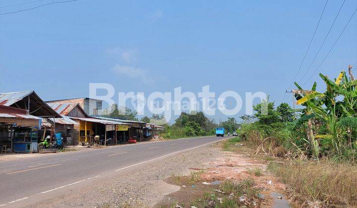 LOKASI STRATEGIS TEPI JALAN RAYA 2