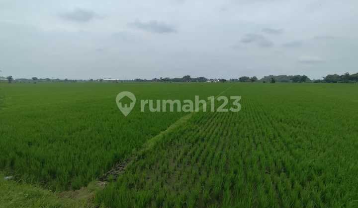 Tanah Industri 20 Hektar Jaten Karanganyar