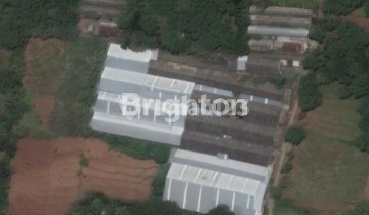 WAREHOUSE 1.5 HECTARES JUMANTONO KARANGANYAR 20-FOOT CONTAINER ACCESS