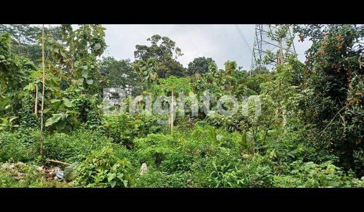 TANAH TEPI JL BESAR BOJA KE GUNUNGPATI 2