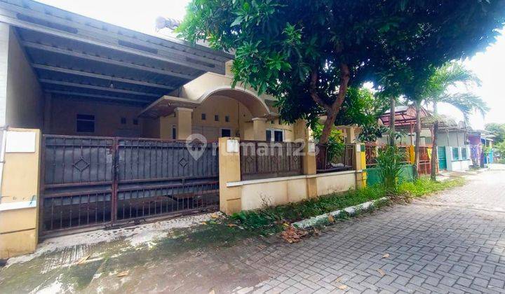 Rumah Bagus  Dekat DPRD 1