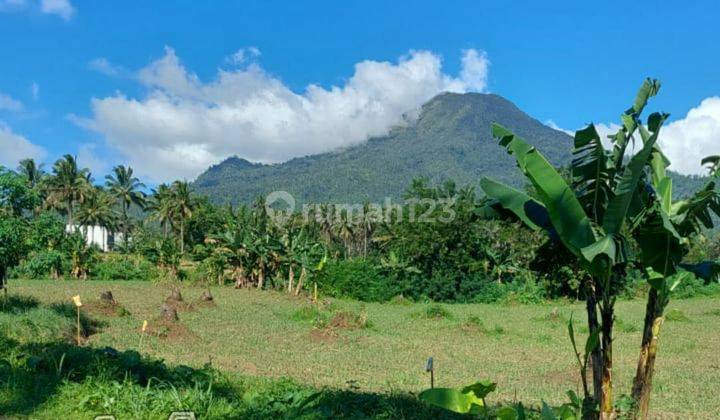 Dijual Tanah Di Minahasa Utara 5