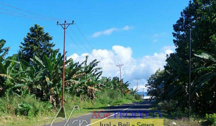 Dijual Tanah Di Minahasa Utara 1