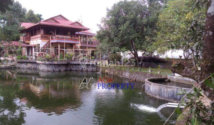 Villa Dengan Kamar Tidur 5+2 di Minahasa Utara 6