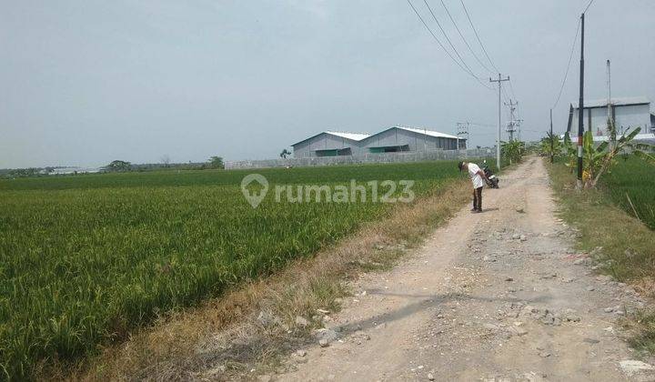 Tanah di Parangjoro 3500 m² SHM akses container cocok untuk gudang 1