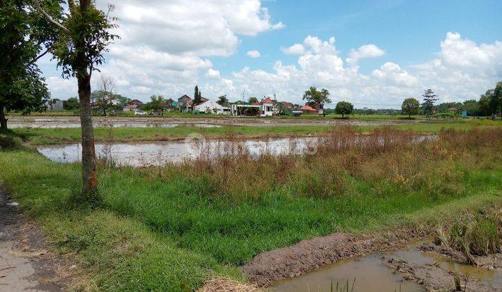 Dijual Tanah sawah waduk cengklik 3237 m² SHM 2