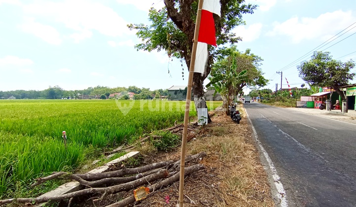 Land on the Edge of Sukoharjo Main Road 1925M Truck Access Suitable for Warehouse or Strategic Business Land on the Edge of Sukoharjo Main Road 1925M Truck Access Suitable for Warehouse or Strategic Business