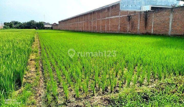 Tanah Zona Industri Murah Akses Tronton Di Gatak Sukoharjo 1