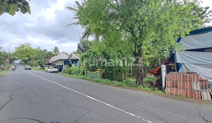 Tanah Pinggir Jalan Utama Sentolo Tanah Tanah Pinggir Jalan Utama Sentolo Tanah