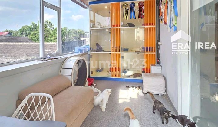 Rumah Baru Bagus ********